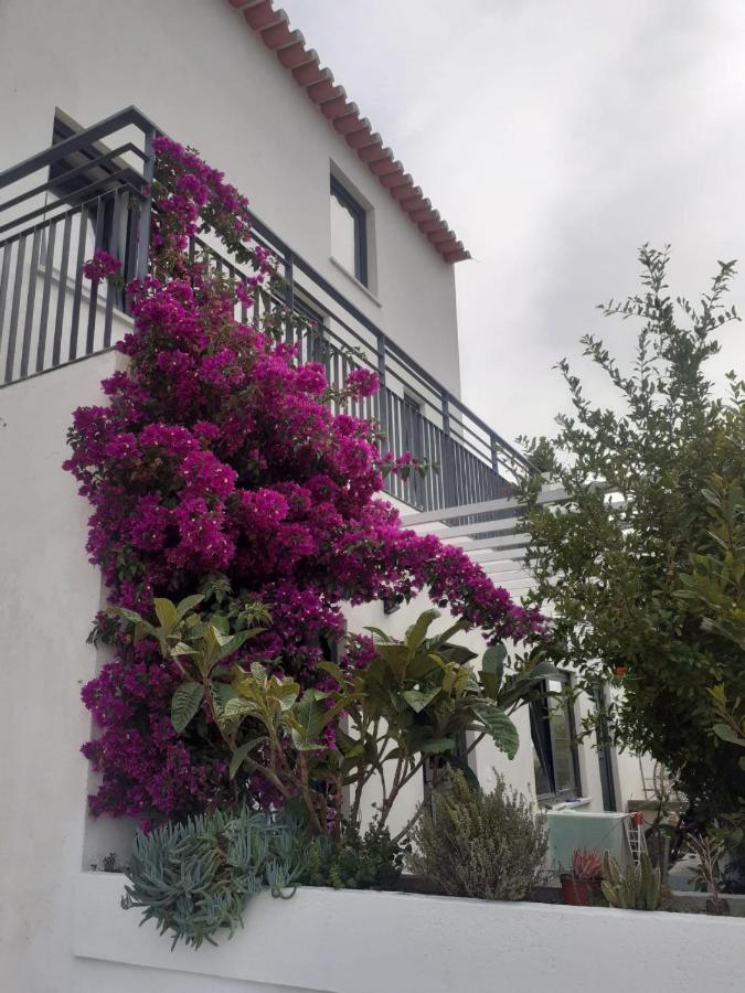 Zenergy - Guest House Odeceixe Kültér fotó